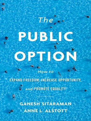 cover image of The Public Option